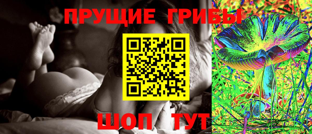 Октябрьский  Псилоцибиновые грибы Psilocybine cubensis  Вход с VPN 