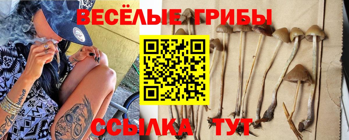 Галлюциногенные грибы Psilocybine cubensis Октябрьский